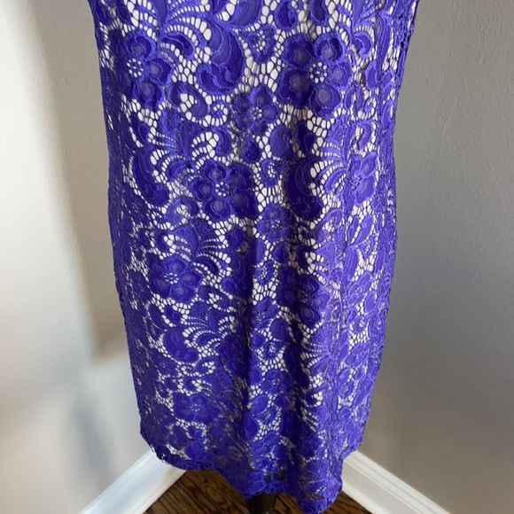 Blu & Ivy Maggy Boutique lace dress - Picture 3 of 9